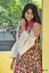 Palak Lalwani Latest Pics